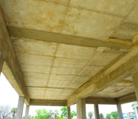 sand-piper-working-stills-239-jpg