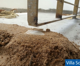 2aa3278efc35cdf5bf0e3fda9a8113e5