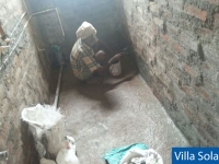 784b094062c294ffc2d9e3dd3fad75f3